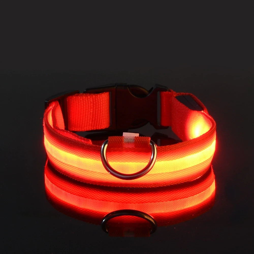 Glow Guard LED Dog Leash