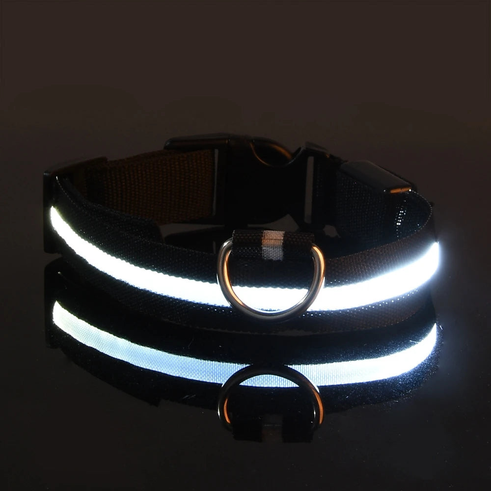 Glow Guard LED Dog Leash