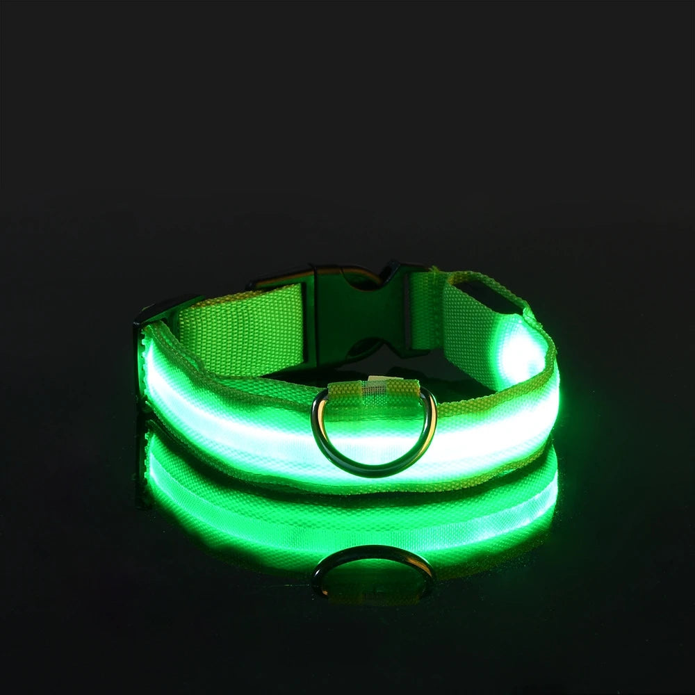 Glow Guard LED Dog Leash