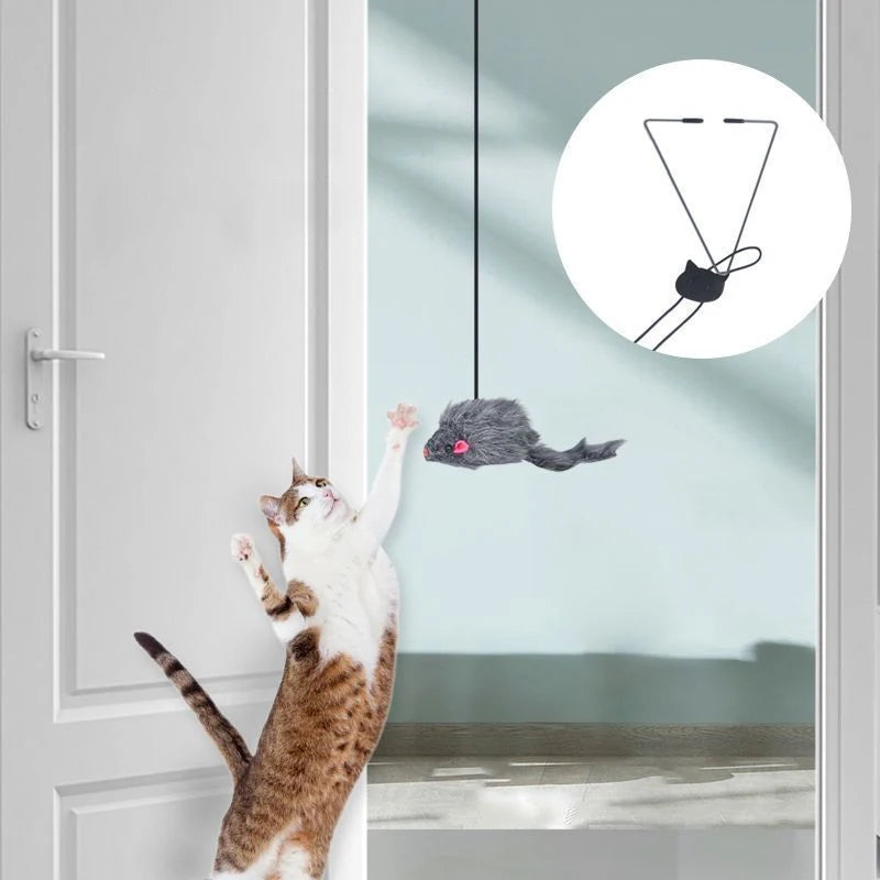 Whisker Jump Play Toy