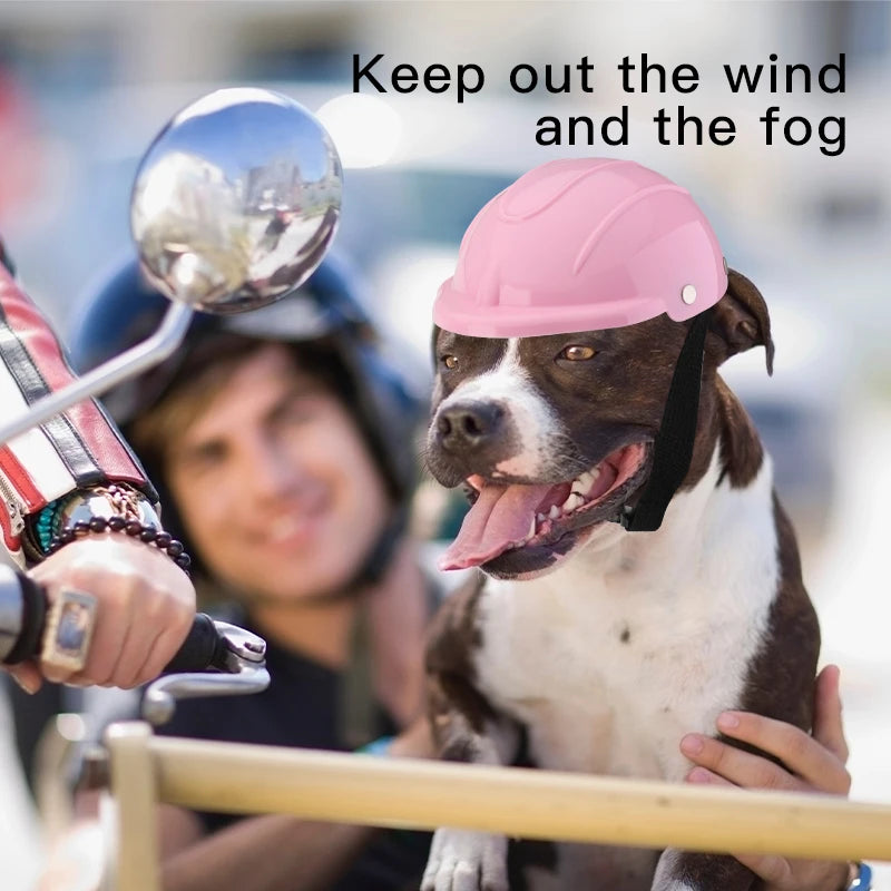 Adventure Pet Safety Helmet
