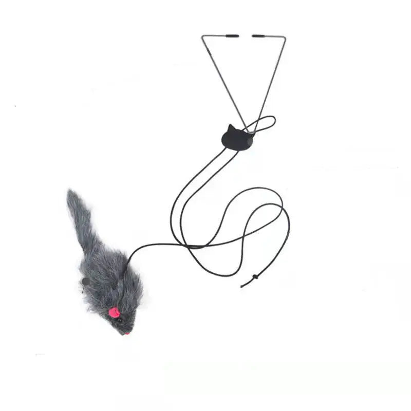 Whisker Jump Play Toy