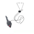 Whisker Jump Play Toy