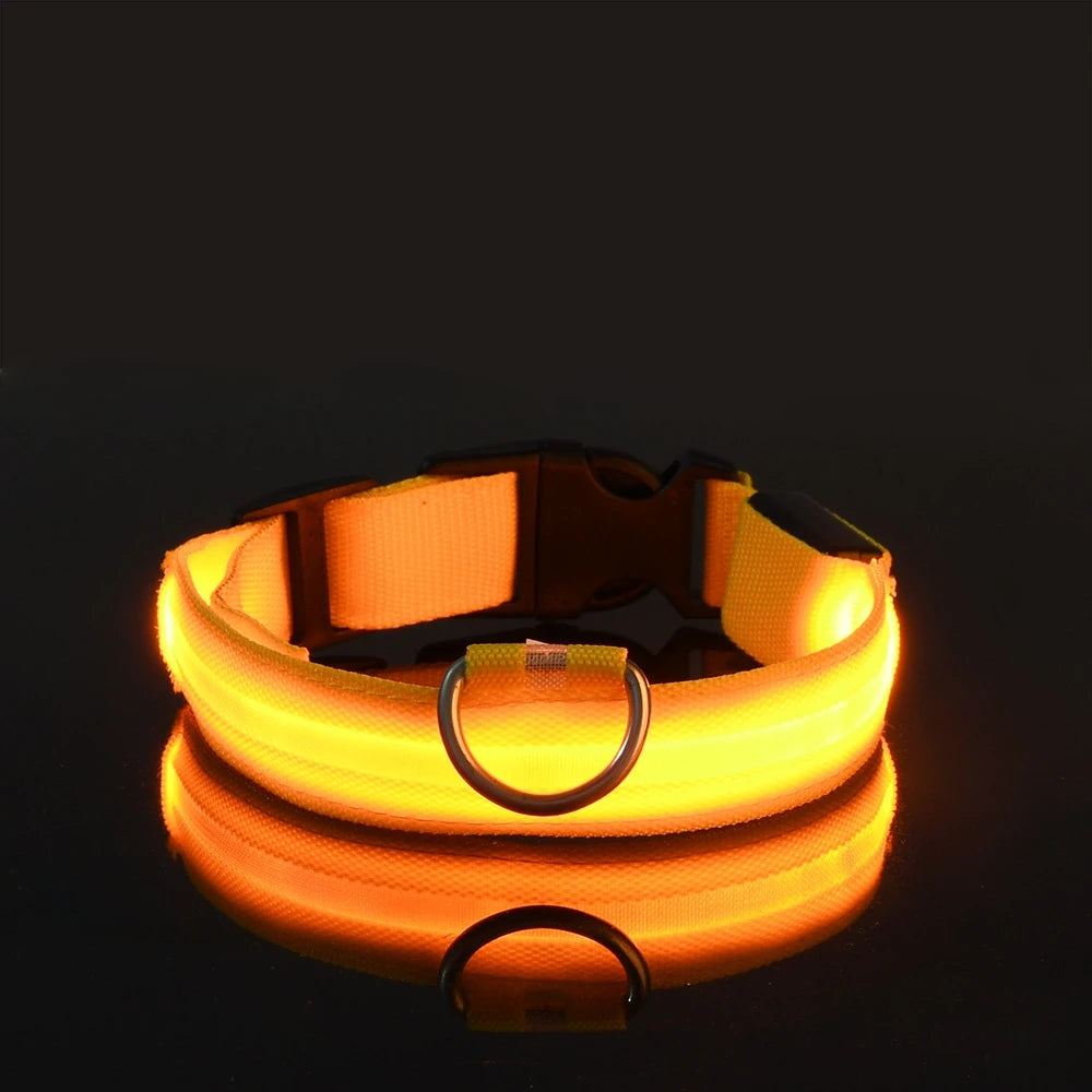 Glow Guard LED Dog Leash