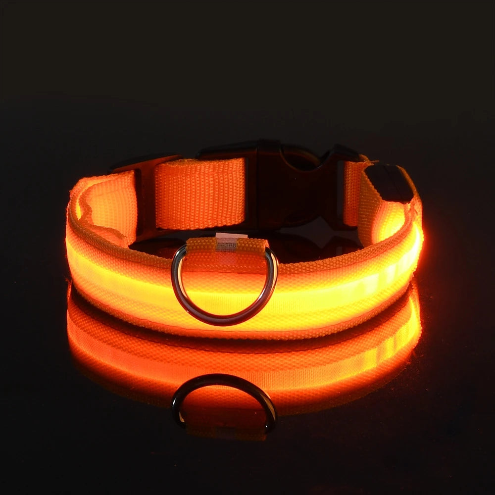 Glow Guard LED Dog Leash