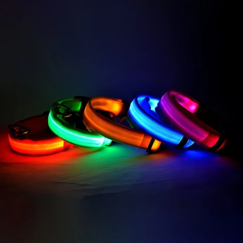Glow Guard LED Dog Leash