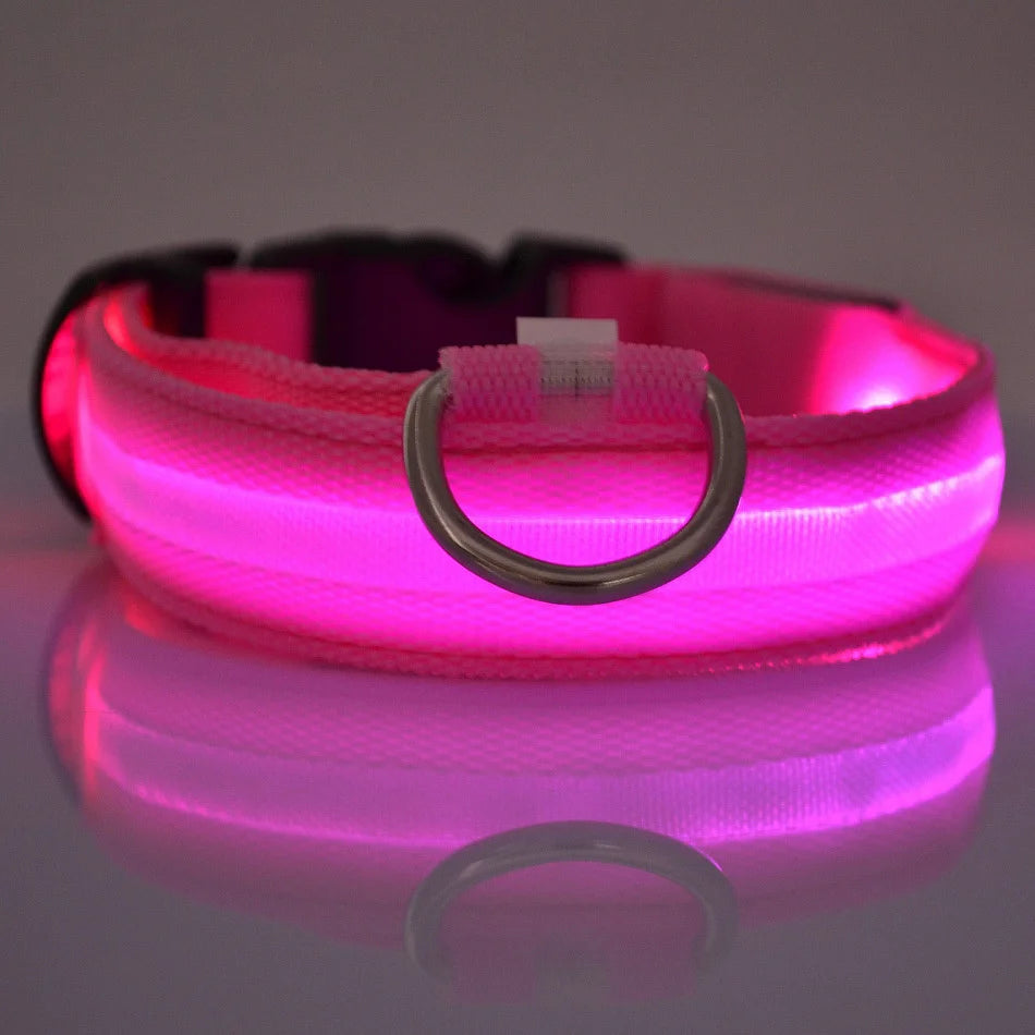 Glow Guard LED Dog Leash