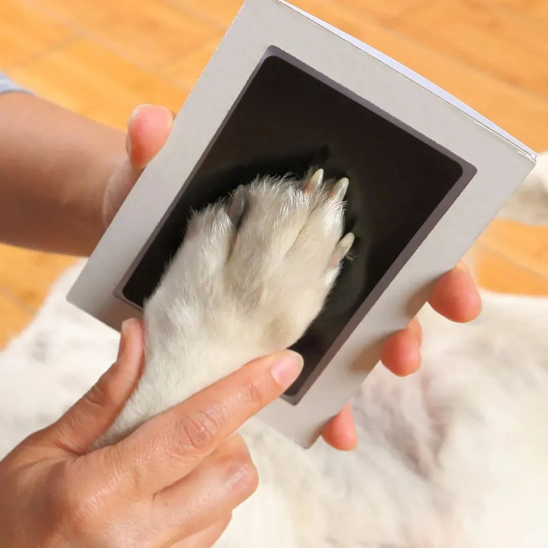 Forever Friends Paw Print
