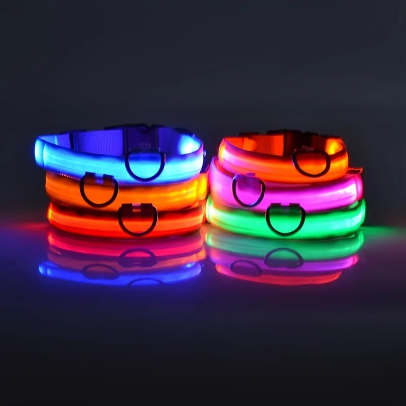 Glow Guard LED Dog Leash