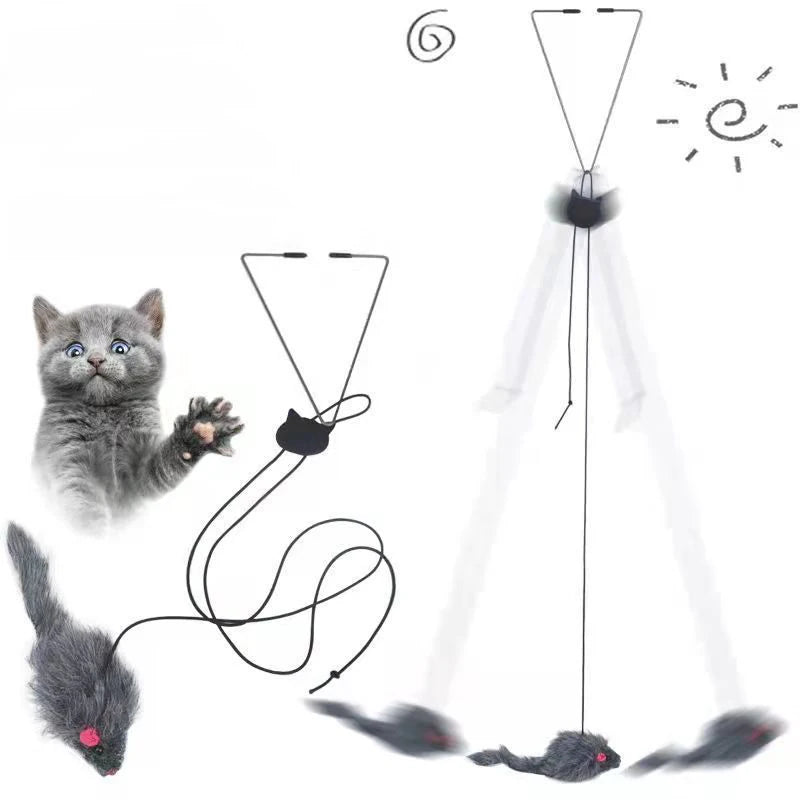 Whisker Jump Play Toy
