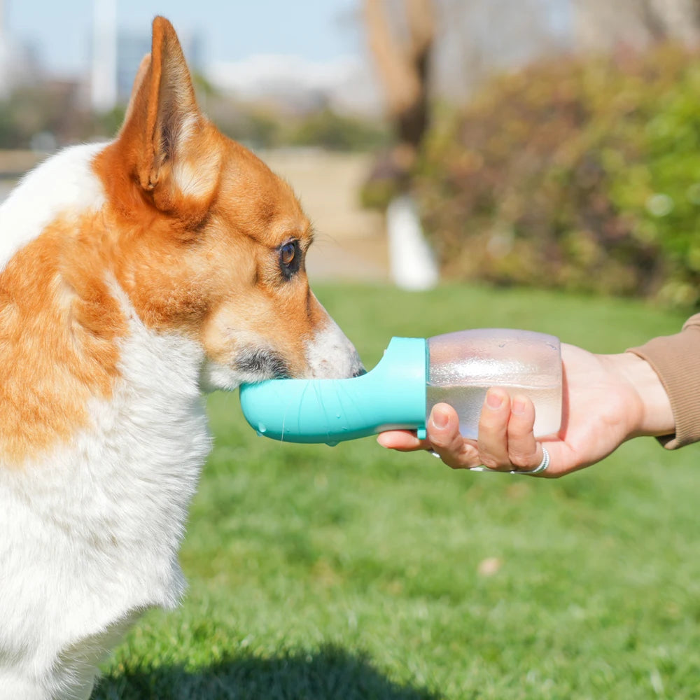 Portable Puppy Water Bottle
