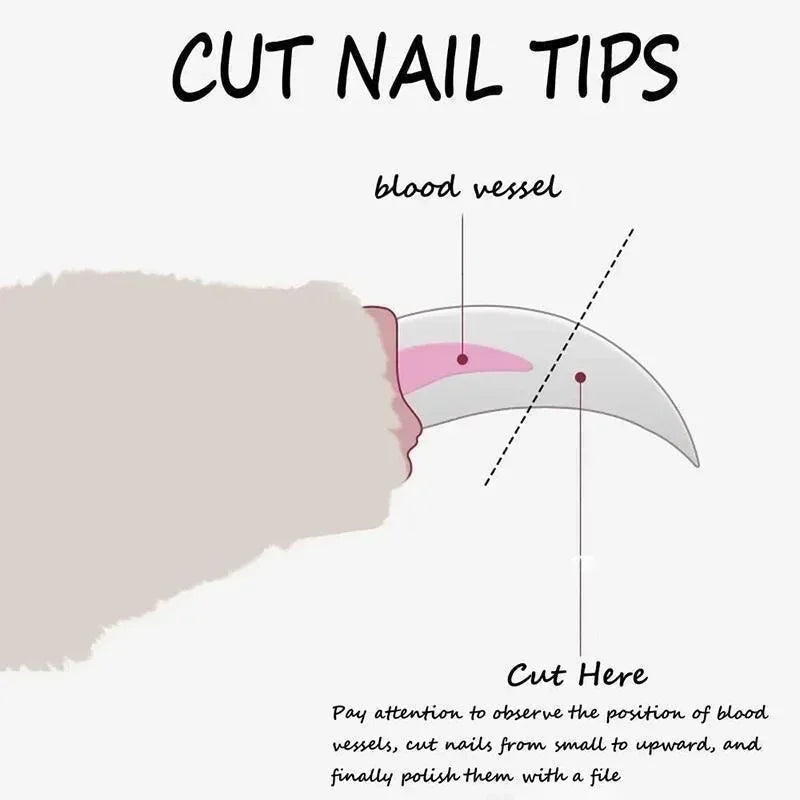 Safe Pet Nail Clippers