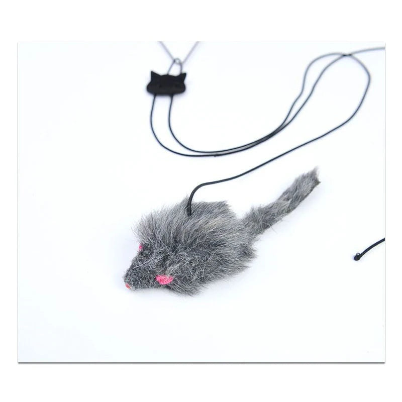 Whisker Jump Play Toy
