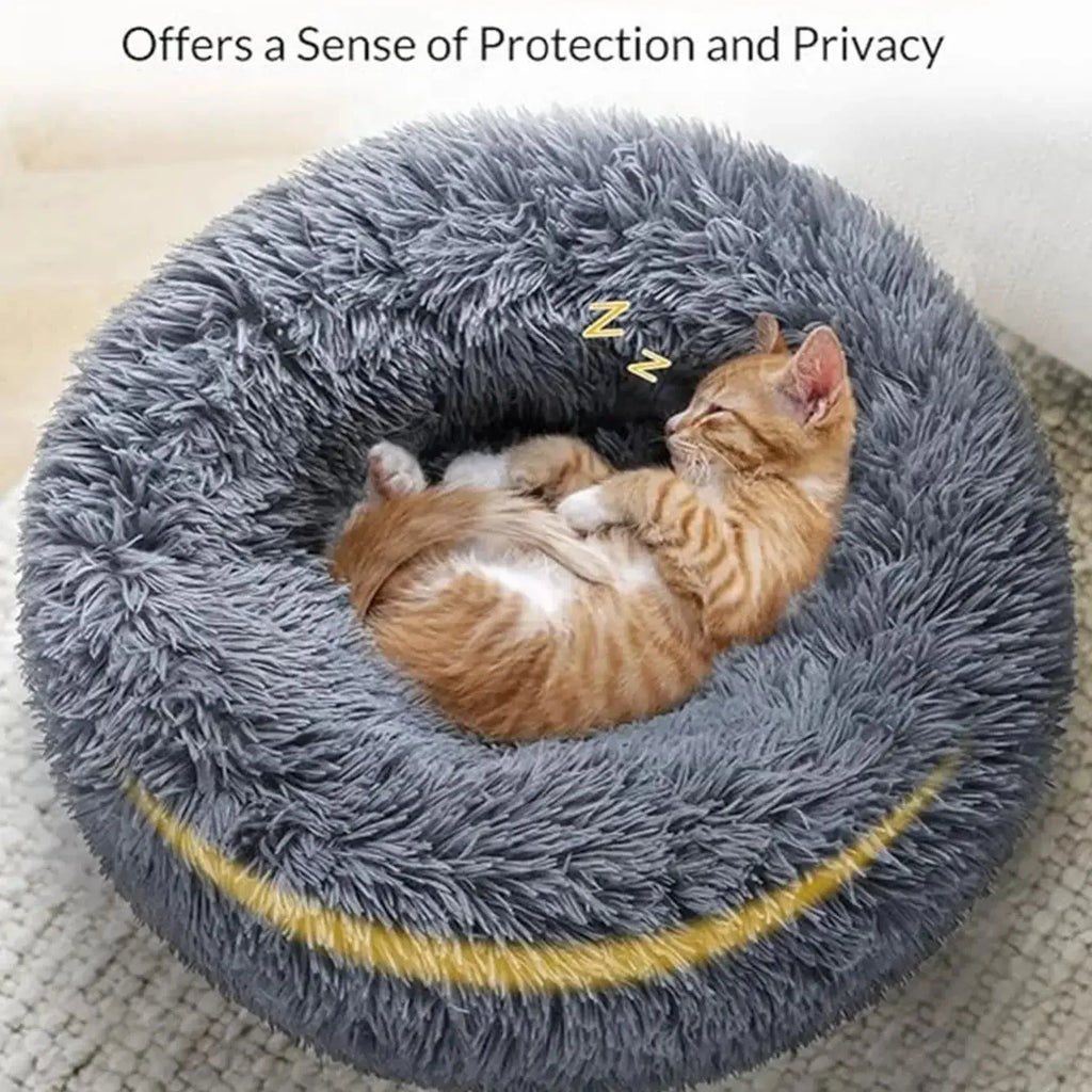 Dream Cloud Pet Bed