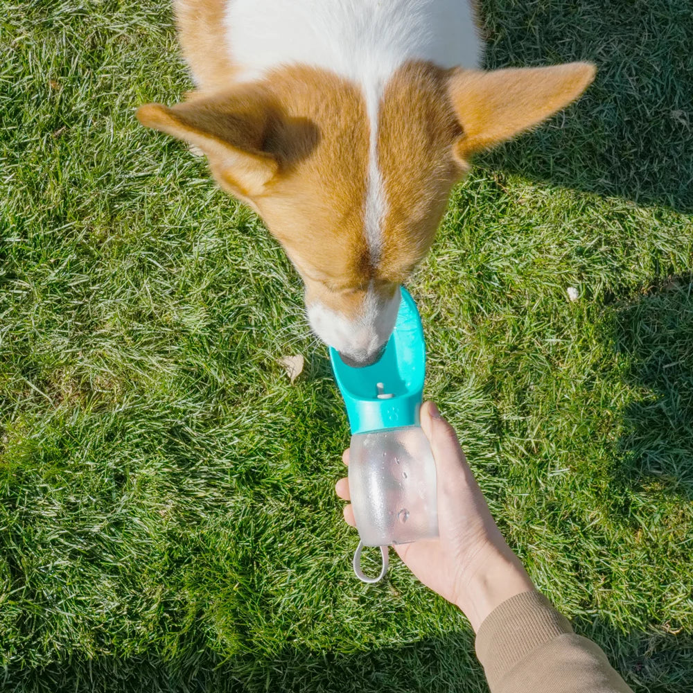 Portable Puppy Water Bottle